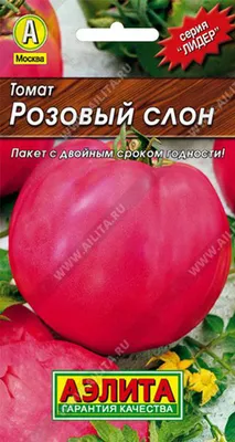 Томат Розовый Слон (семена) купить по цене 59 ₽ в интернет-магазине  KazanExpress