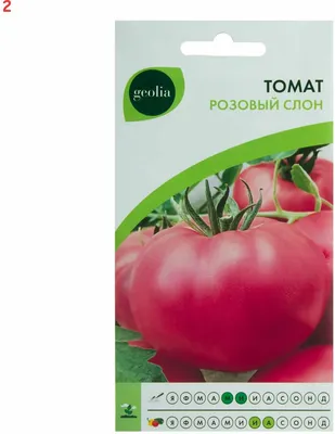 Семена Томат Розовый Слон/Сем Алт/цп 0,05 гр. — купить по выгодной цене в  интернет-магазине Колорлон