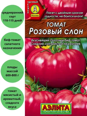 Семена Томат \"Розовый слон. Лидер\", 0,2 г купить по цене 39 ₽ в  интернет-магазине KazanExpress