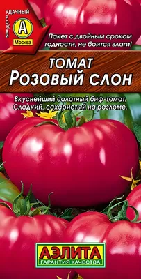 Семена Seedera Томат Микадо розовый 0,1г ❤️ доставка на дом от магазина  Zakaz.ua