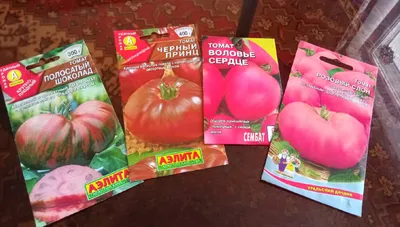 Семена томата \"Розовый слон\", производитель GL Seeds - «Вкусные, сахарные»  | отзывы