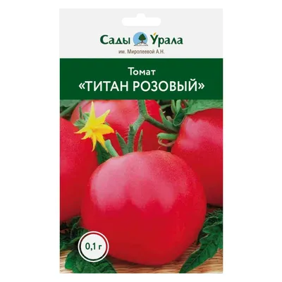 Семена Томат \"Розовый Титан\", 0,1 г (5 шт) - РусЭкспресс