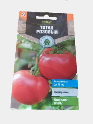 tomattitanrozovyj