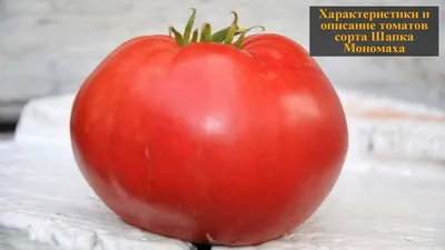 https://us.nikitovka.com/ru/tomat/194-tomato-monomakhs-cap-4823094013420.html