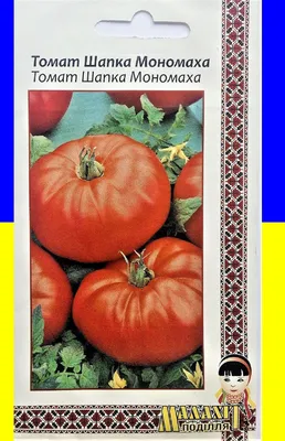 Семена томатов Шапка Мономаха Сибирский сад 145297146 купить в  интернет-магазине Wildberries