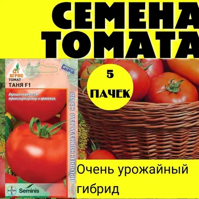 Томаты семена_томат_агрос_таня - купить по выгодным ценам в  интернет-магазине OZON (1167085710)