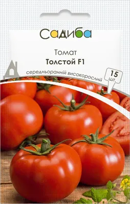 Купить профессиональные семена томата Толстой по лучшей цене в Украине!