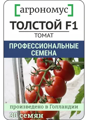 Томат высокорослый Толстой F1 15 шт. (Садыба Центр) - 58547 - купить Киеве,  Семена в интернет-магазине Agreemarket