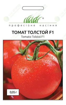 Томат Толстой: описание сорта. Рассказываю про особенности агротехники |  Азбука огородника | Дзен