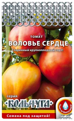 Томат Воловье сердце 20,0 шт Аэлита: купить в Новосибирске по цене от 10.52  руб — интернет-магазин «Красный бант»