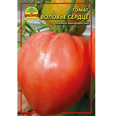 Семена томата Воловье сердце розовое