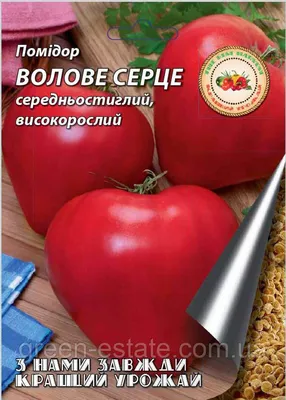 Томат Воловье сердце оранжевое (Bullock's Heart Orange)