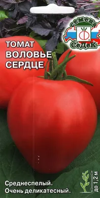 Семена Томат \"Воловье сердце\" купить по цене 44 ₽ в интернет-магазине  KazanExpress