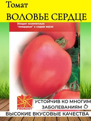 Семена Инвент+ Томат Воловье Сердце 0,1г — купить с доставкой на дом в  интернет-магазине Солнечный