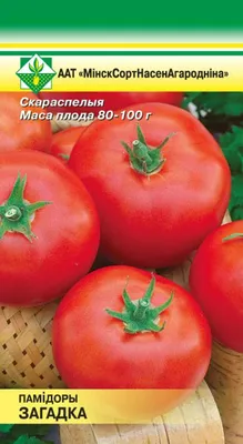 Томат Загадка 5 г Садыба: продажа, цена в Киеве. Семена и рассада овощных  культур от \"АгроПротект - Всё для сада и города\" - 1536674482