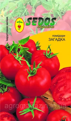 Семена томатов | томат загадка 1 г кустовой ранний, империя семян