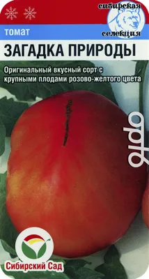 Томат Загадка природы. Экзотическая новинка в отделе семян Ирины Николаевны  Кокшетау | Instagram