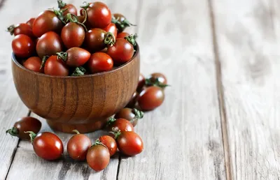 Топ 7 моих любимых сортов томатов черри. | Dzen Kaplya | Дзен