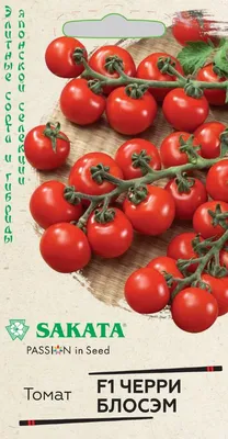 25 лучших сортов томатов для теплиц: описание, фото, отзывы, характеристика  самых урожайных и сладких сортов