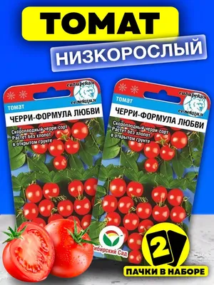 Сладкие, душистые, урожайность высокая: этот уникальный сорт томатов  отлично растет и на подоконнике