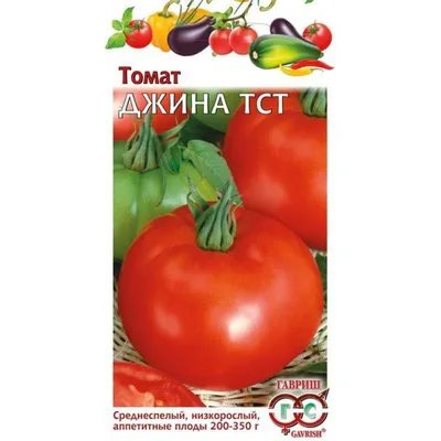 Томат Джина (Лучшие сорта томатов) - YouTube