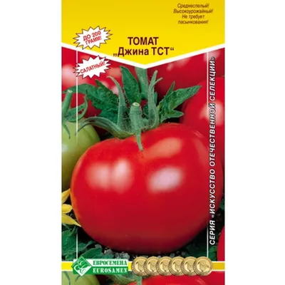 Томат Джина ТСТ 20шт, семена | Купить в интернет магазине Аэлита