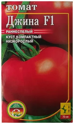 Заказать семена томата Джина можно в интернет магазине