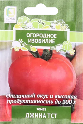 Томат Джина (Седек) 2 упаковки УМ.семена 62796327 купить за 179 ₽ в  интернет-магазине Wildberries