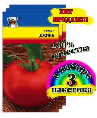 Семена Томат Джина F1 раннеспелый 0,3гр — купить в интернет-магазине по  низкой цене на Яндекс Маркете