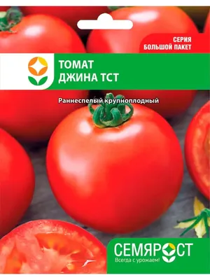 Томаты Проверенные семена Джина ТСТ - купить по выгодным ценам в  интернет-магазине OZON (325102013)