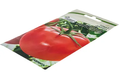 выращивание томатов Джина | Выращивание томатов, Выращивание помидоров,  Посадка семян