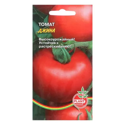Семена томатов | томат джина среднеспелый крупноплодный 5 г европакет,  империя семян