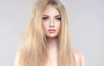 Результат очень светлого тонирования в золотисто-пшеничный, и лечение волос  с помощью трав | XNA_INDIA Окрашивание волос ХНОЙ | Дзен