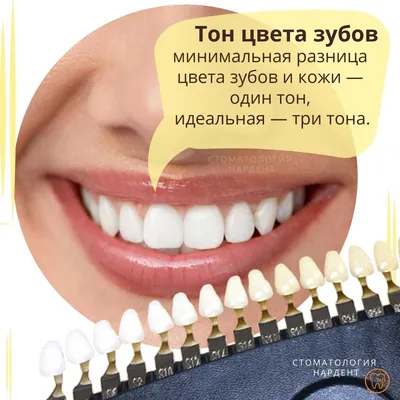 Шкала для определения оттенка тона эмали зубов - Amazing smile