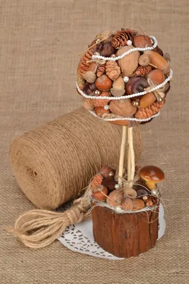 Топиарий новогодний. Топиарий из шишек. Новогодний декор | Cones crafts,  Pine cone crafts, Crafts