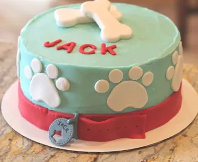 JR Farm (Джиэр Фарм) Animal Cake – Витаминное лакомство-торт для грызунов -  Купить онлайн, цена и отзывы на E-ZOO