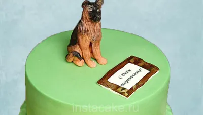Праздничный торт торт с собакой хаски