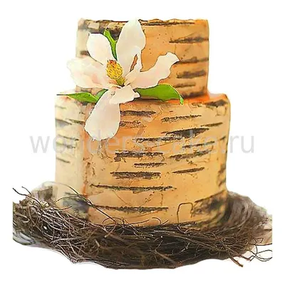 Юбилейный торт на 5-летие совместной жизни (деревянная свадьба).Вес 3  кг.(Вкус-три шоколада) | Годовщина свадьбы, Торт на годовщину свадьбы,  Годовщина