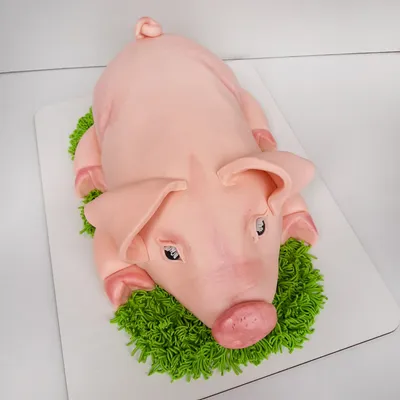Торт свинья, поросенок - Торты в виде свиньи на заказ в Киеве
