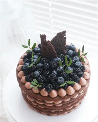 Праздничный шоколадный торт с ежевикой и сладкой вишней на белой  предпосылке R Стоковое Изображение - изображение насчитывающей съешьте,  сладостно: 153078033