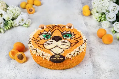 Бенто торт че за лев этот тигр на заказ в СПб | Шоколадная крошка