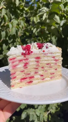 Торт сметанник — вкусный рецепт с фото | Lasunka.com
