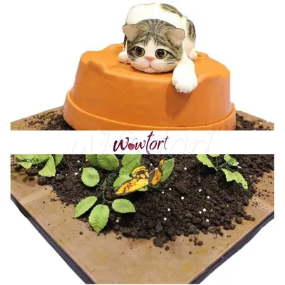 Торт с котенком на заказ в интернет магазине-кондитерской