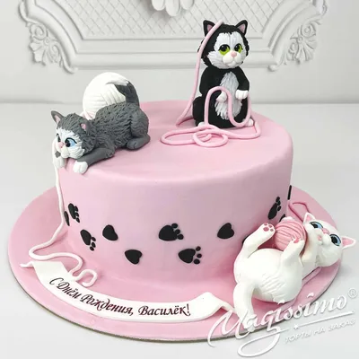 CAKES IDEAS IDEAS Cake CAT MASTER CLASS 3D cake - YouTube