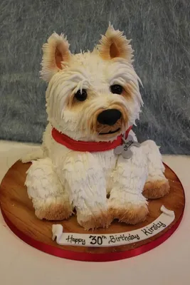 торт собака 3d | Восхитительные торты, Сумасшедшие торты, Декоративные  тортики