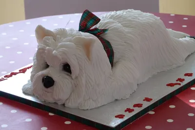 Торт в виде Собаки №6 | Заказать торт недорого в кондитерской Wow-tort