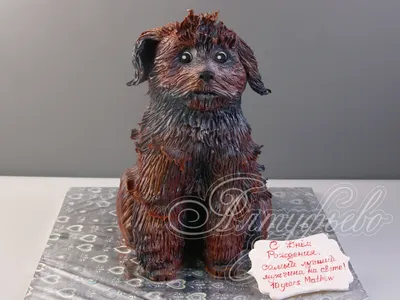 3D торт в виде собачки Йорка 13078819 стоимостью 12 700 рублей - торты на  заказ ПРЕМИУМ-класса от КП «Алтуфьево»