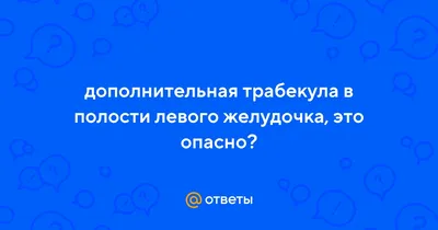 А. Л. Ожешковская, А. С. Миргородская СРАВНИТЕЛЬНАЯ АНАТОМИЯ ПОДКЛАПАН