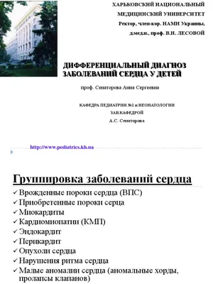 Структура сердечной стенки - Анатомия грудной клетки - Хирургическая  анатомия грудной клетки - Цікава інформація медичної спрямованості -  Анатомія людини