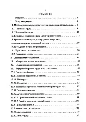 Трабекулы сердца: невероятные картины Леонардо да Винчи